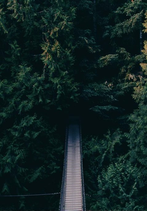 gallery-1